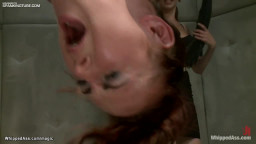 Slut in upside down suspension whipped