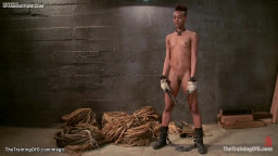 Master whip ebony during training