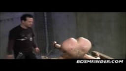 Toy Wax Spank And Shock